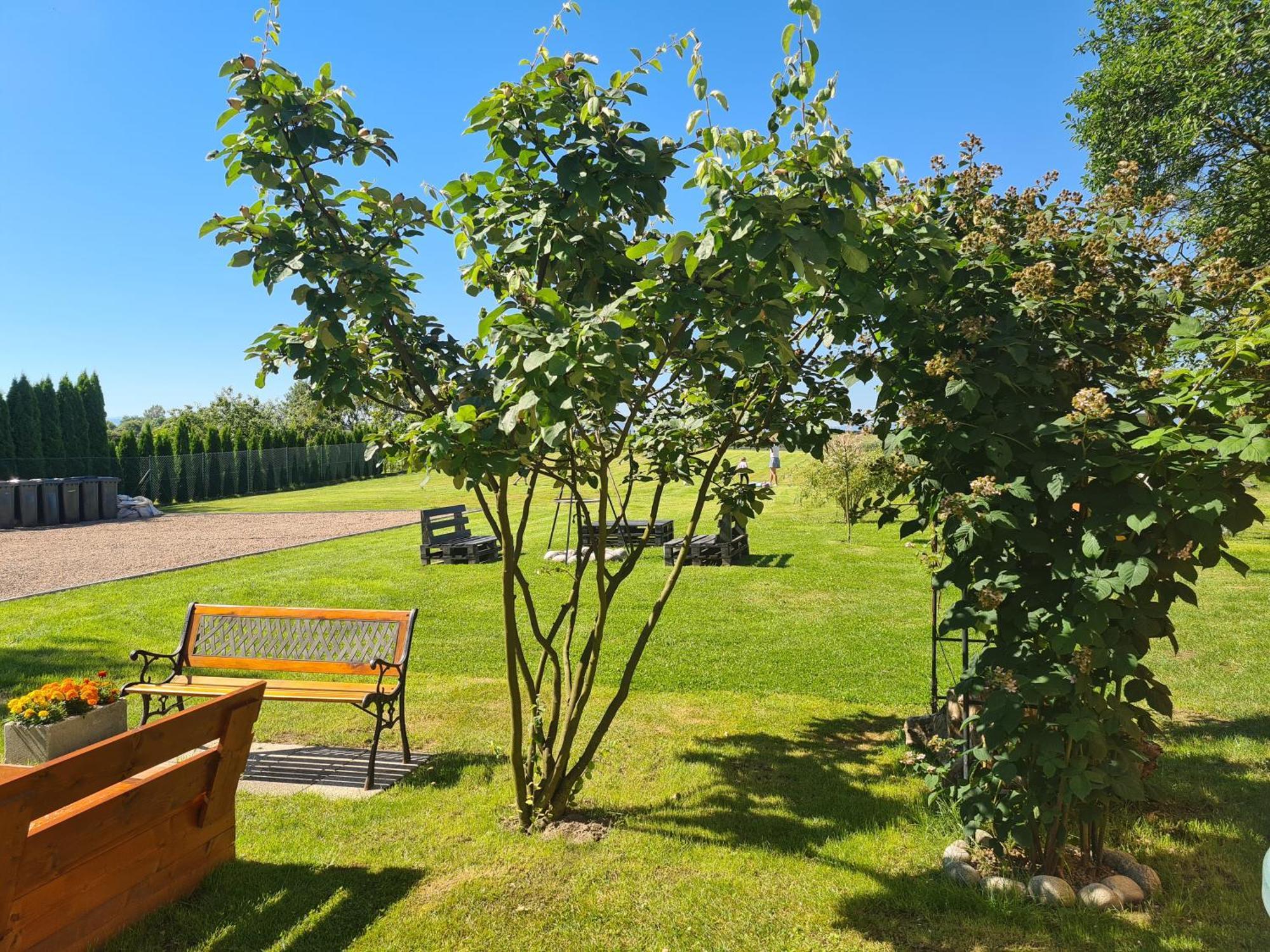 Lawendowy Domek Boutique Resort, Zator, Przeciszow Exterior photo